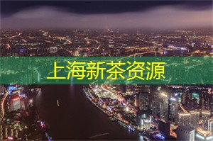 夜晚的艺术：夜上海博物馆和画廊指南！