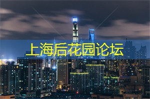 美的印象，随茶而生，见于上海茶庄